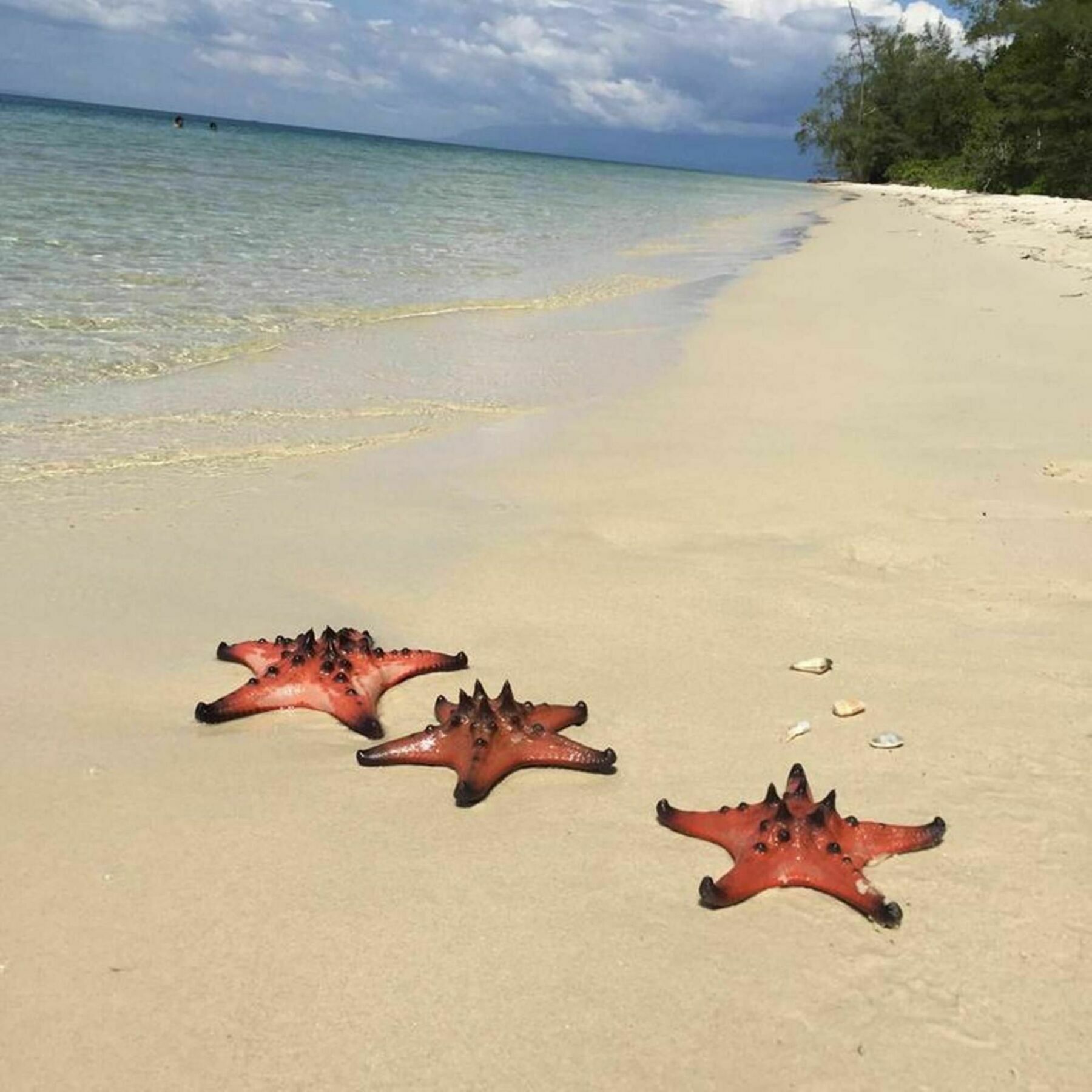 Le Giang Villa Phu Quoc Eksteriør bilde